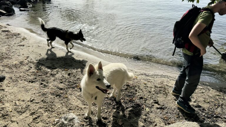 L&rsquo;été est là ! À quoi faut-il faire attention ?