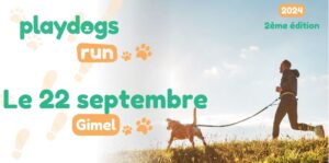 PlayDogs run