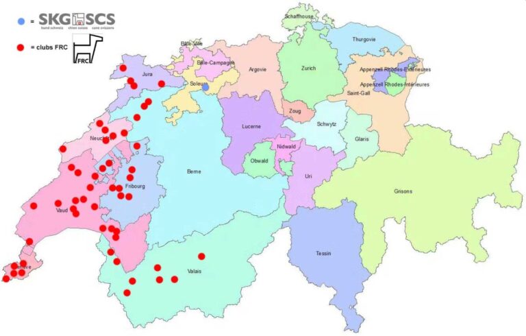 Comment obtenir le brevet de moniteur d’éducation canine auprès de la FRC ?