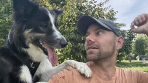 dogsitting,réserver,promenade
