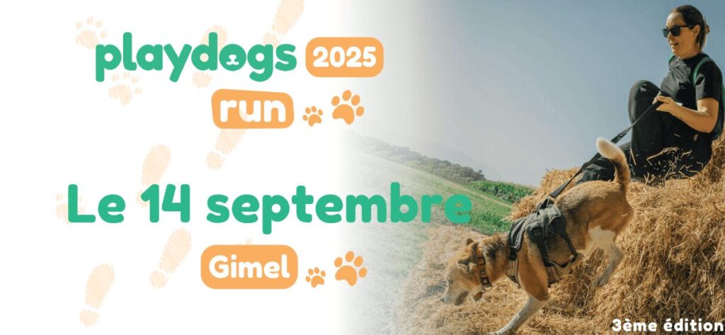 Affiche annonce date PlayDogs Run 2025
