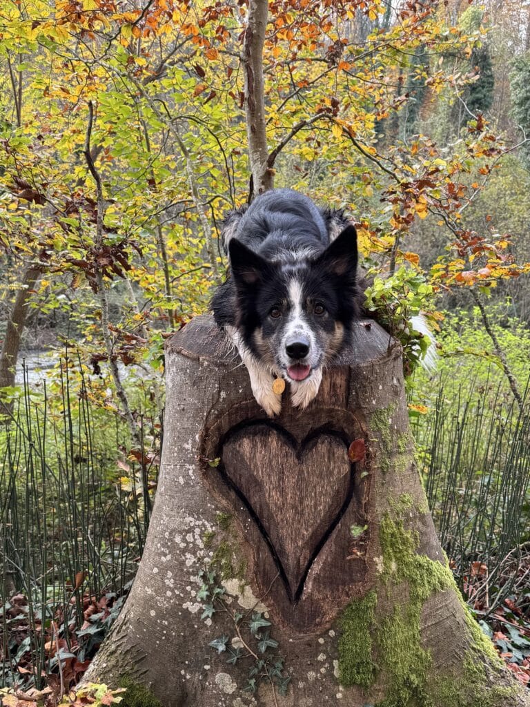 Préparer 2026 ensemble : une année sous le signe de l’épanouissement et de la croissance