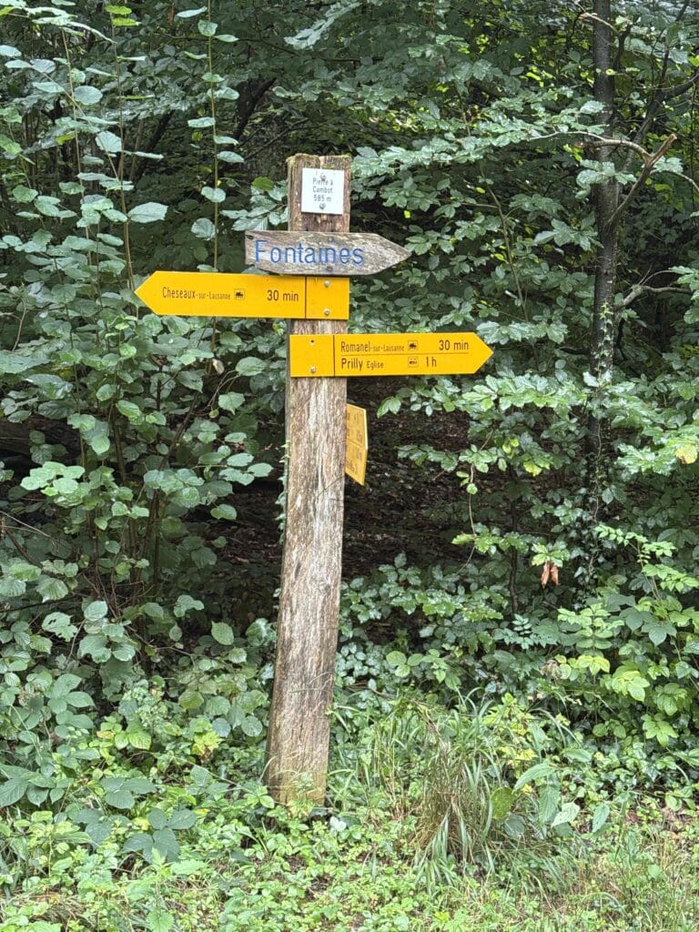 Panneau de randonnée en forêt avec directions.