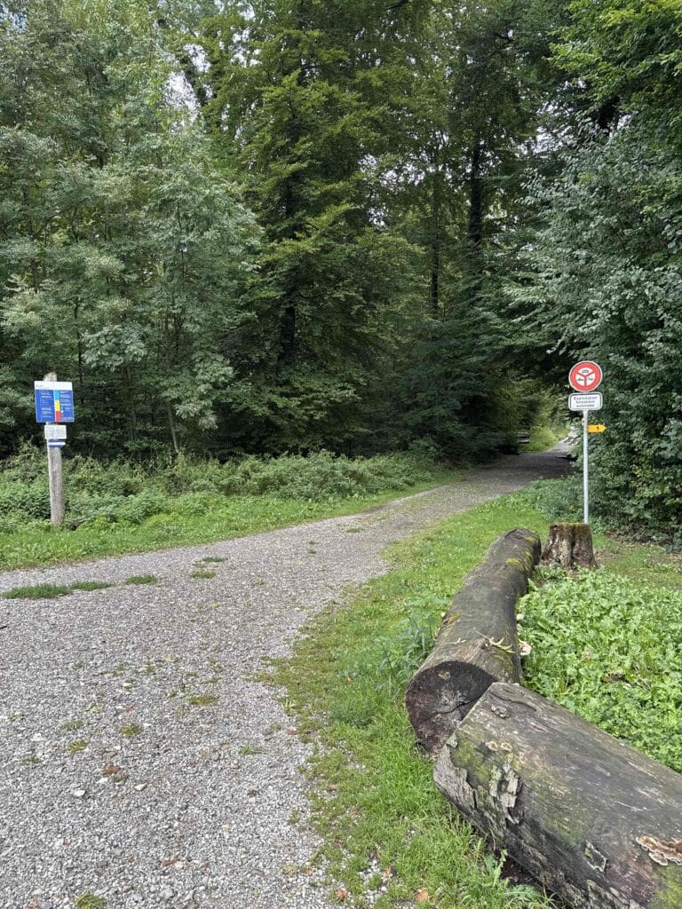 Chemin forestier avec panneau d'interdiction.