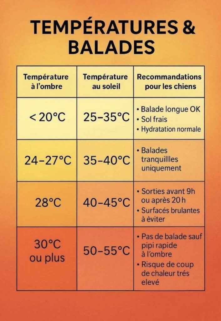 été
