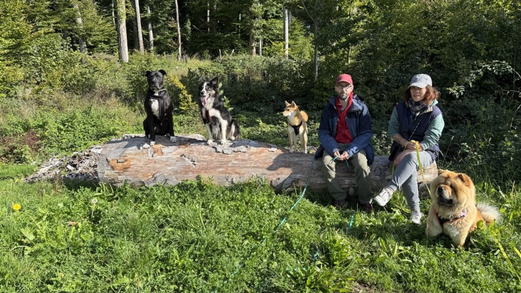 Deux personnes et trois chiens assis sur une souche.