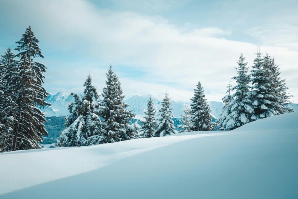 Tranquil winter scene of snow-covered trees in Megève, France amidst the Alps.