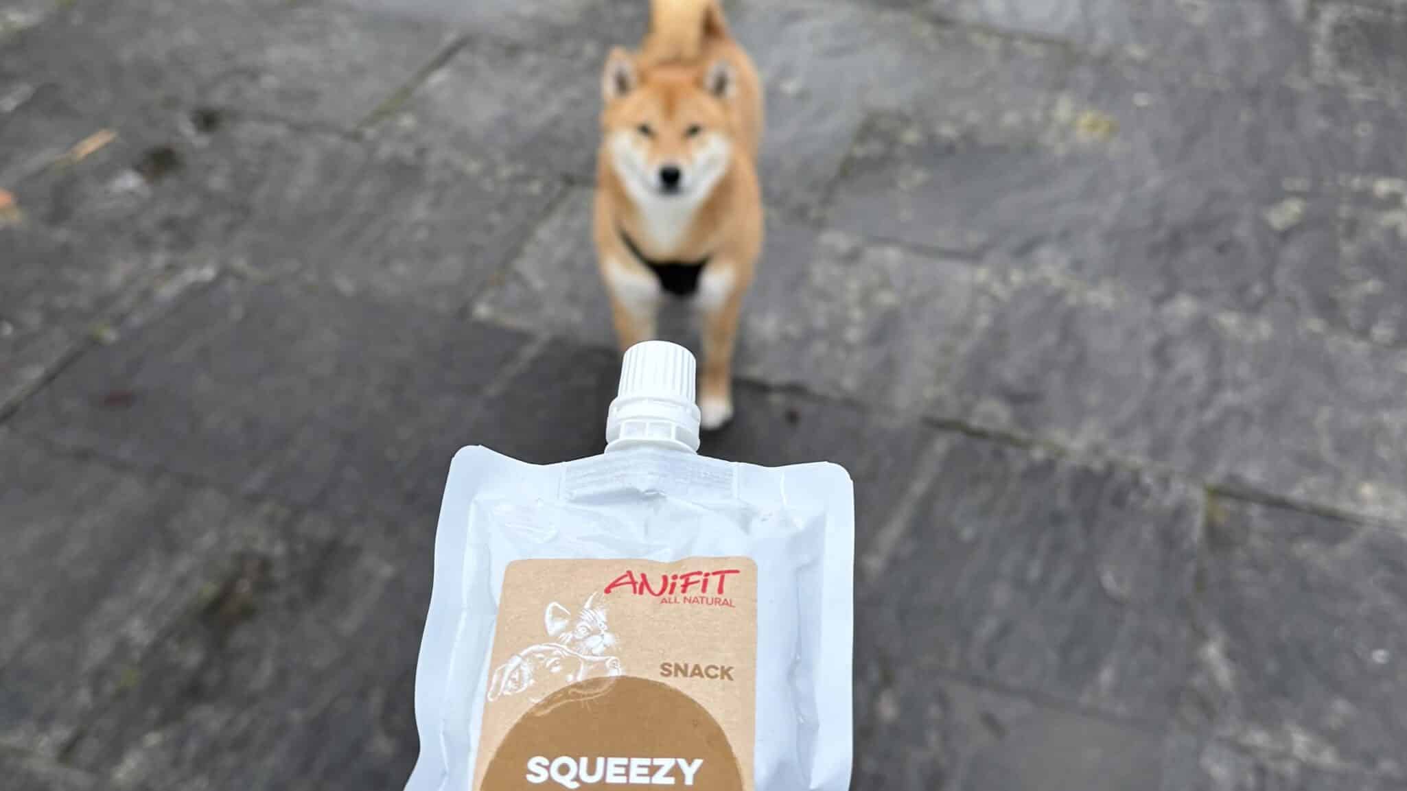 Sachet de friandise pour chien avec Shiba Inu