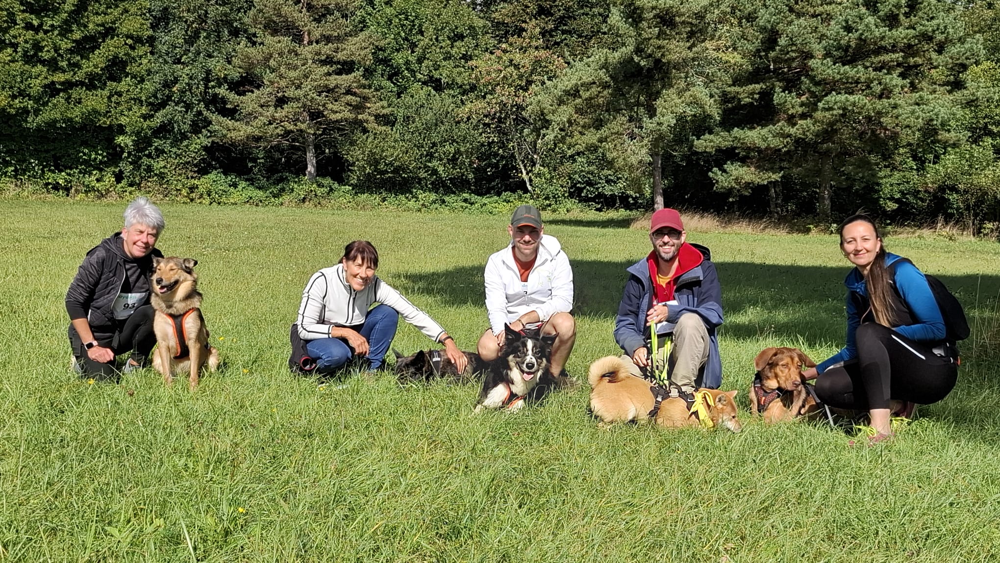 Groupe d’adultes avec chiens dans un pré