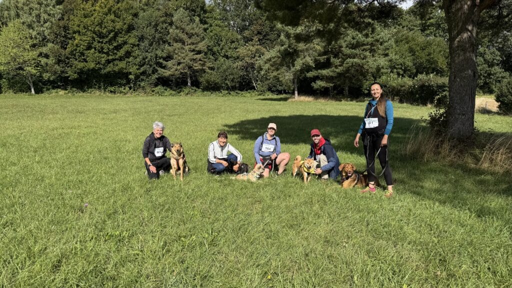 Participants et leurs chiens dans un parc