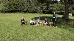 Participants et leurs chiens dans un parc