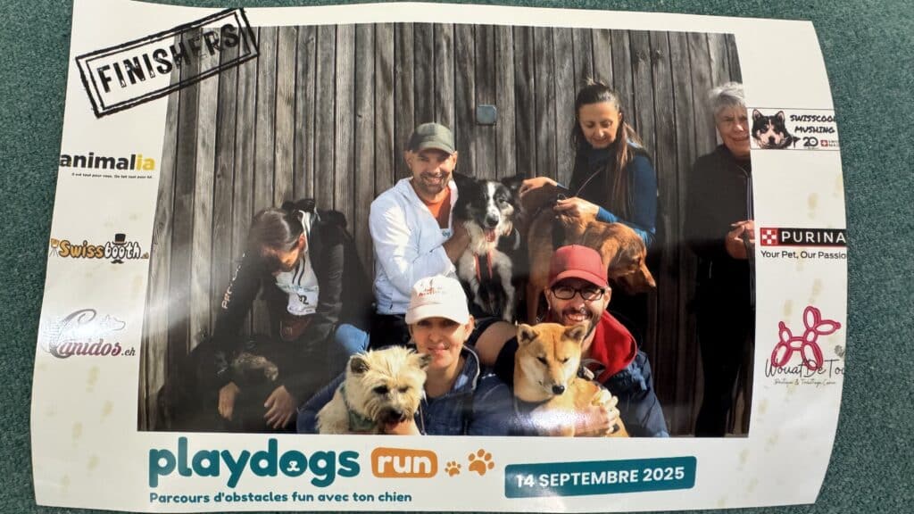 Participants avec leurs chiens au Playdogs Run