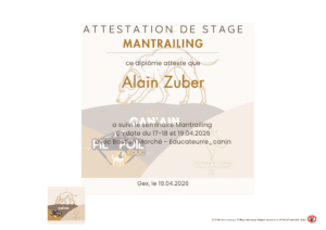 Attestation de stage Mantrailing avec chien illustré
