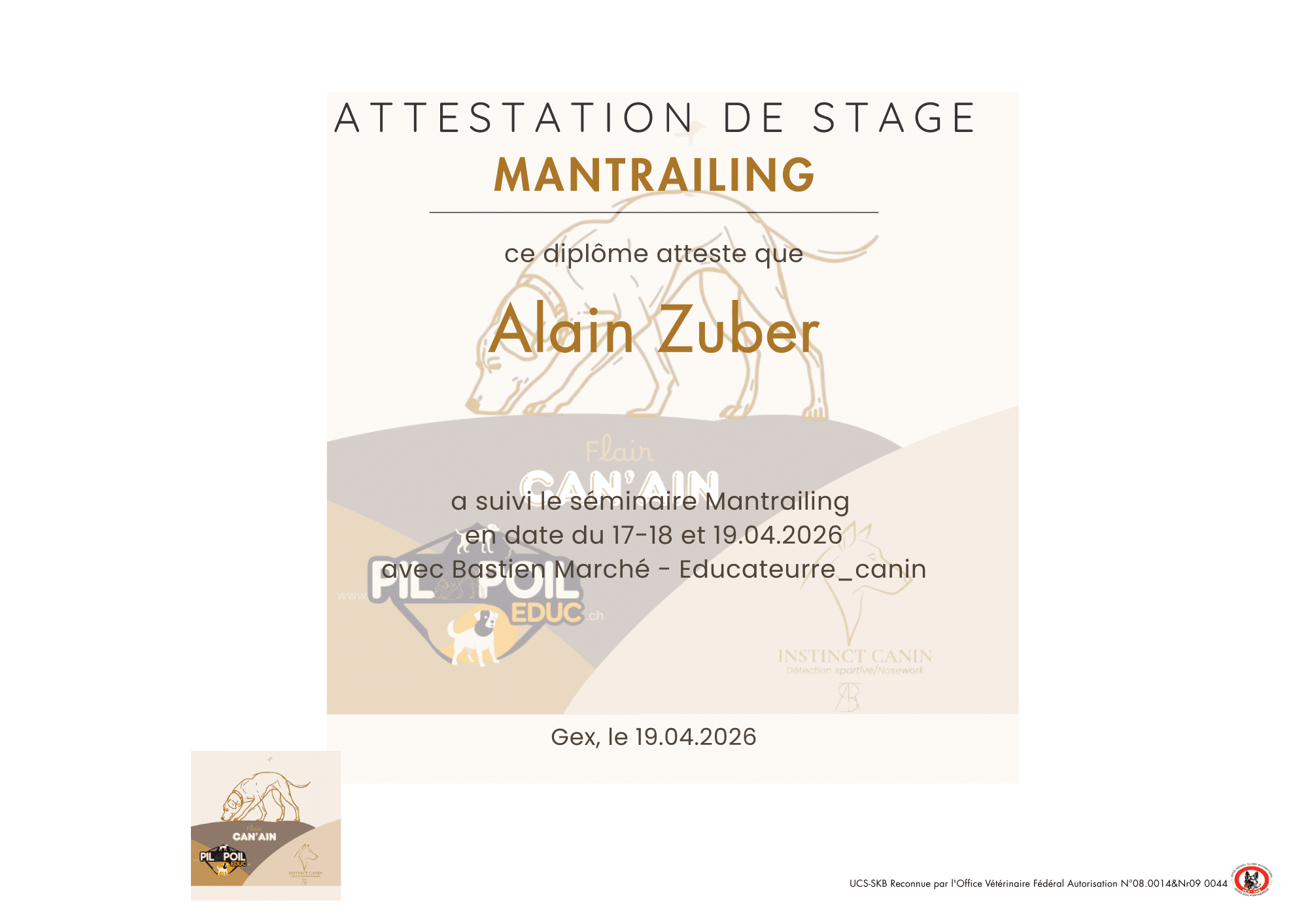 Attestation de stage Mantrailing avec chien illustré
