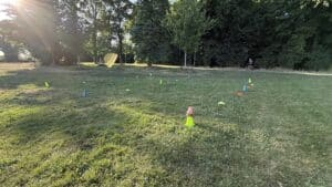 Parcours de cônes sur pelouse ensoleillée
