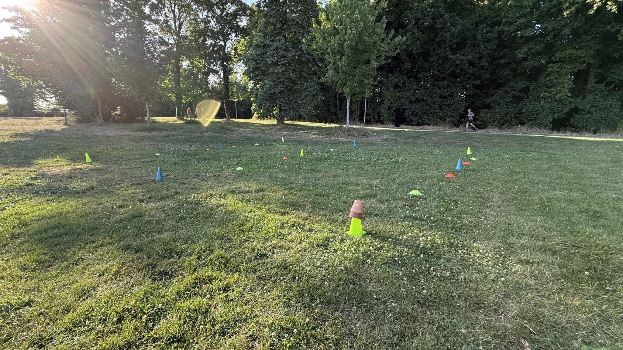 Parcours de cônes sur pelouse ensoleillée