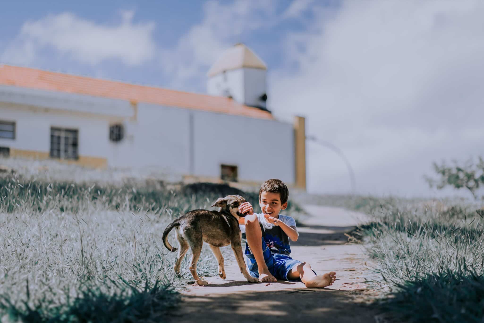 A joyful boy plays with a dog on a sunny dirt road by a house.