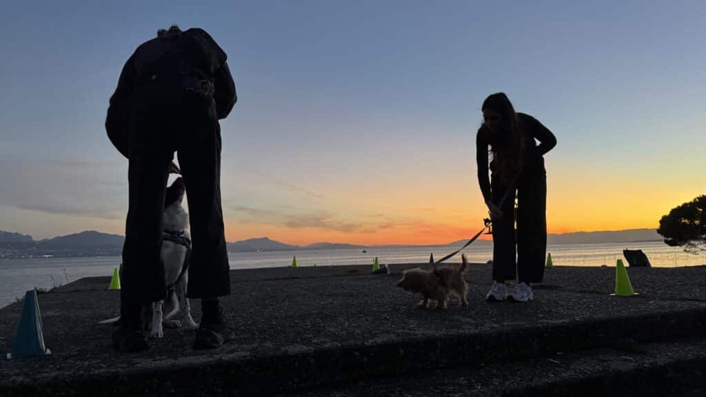 Silhouettes de personnes sur une plage au coucher du soleil