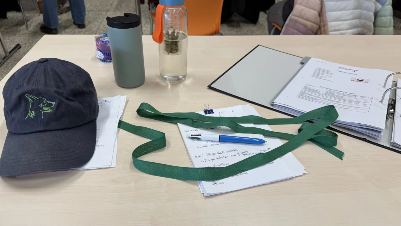 Proposition d'un cours de Medical Training